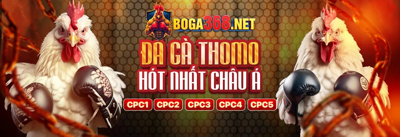 Hình ảnh chính về đá gà trực tuyến tại DWIN Trang Chủ Chính Thức